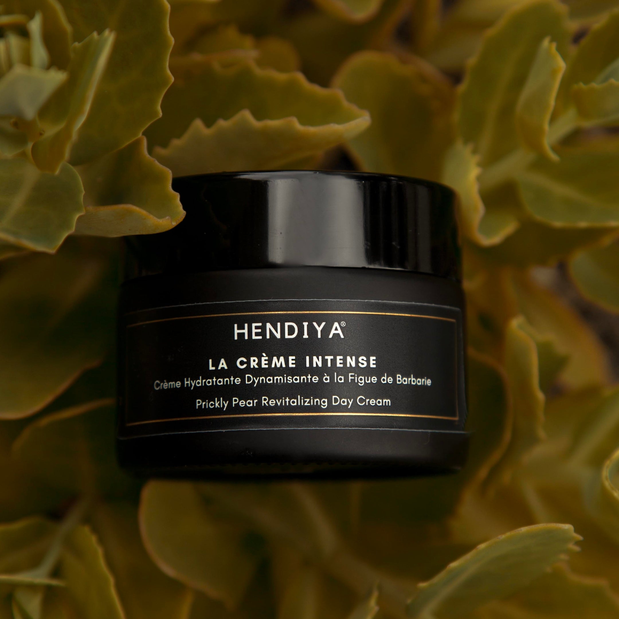 La Crème Intense - Crème Hydratante Dynamisante pour Homme - Figue de Barbarie & Argan